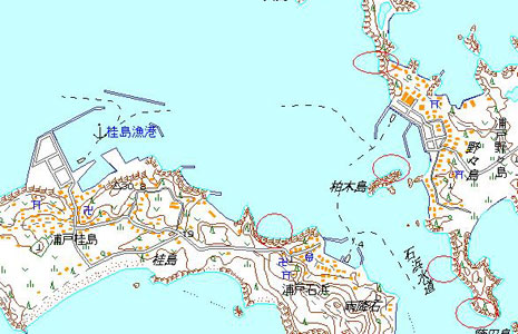 被災マップ：桂島、野々島